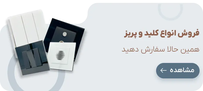 کلید و پریز